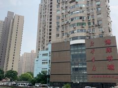 -东方名猫馆·英短金渐层布偶猫舍(环线广场1号楼店)