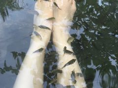 -三亚珠江南田温泉度假区