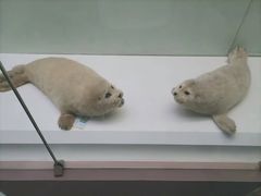 -国家自然博物馆