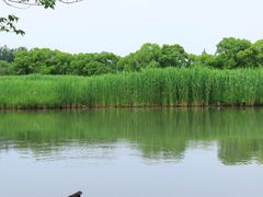 -沙家浜风景区