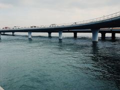 -演武大桥观景平台