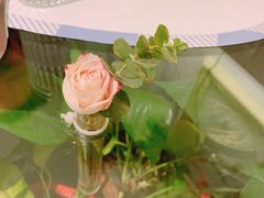 -春树下·树屋花房西餐厅(罍街AS1980店)