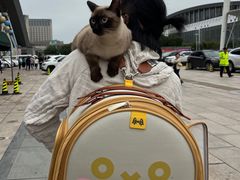 -宁波国际会展中心