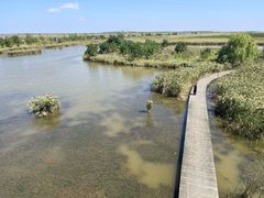 -盐城丹顶鹤湿地生态旅游区