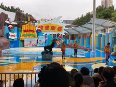 -海合安成都极地海洋公园