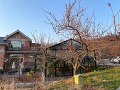 -北马山庄植趣咖啡