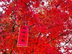 -穹窿山景区