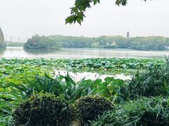 -东湖生态旅游风景区