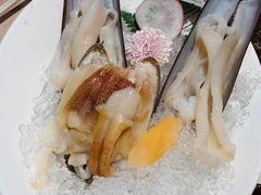 小象鼻蚌-围炉夜话·潮汕卤水火锅(榕江店)