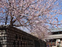 -三里河公园