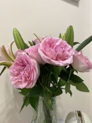 -S&G Beauty轻奢皮肤管理中心