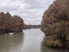 -上海海湾国家森林公园