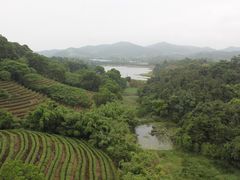 茶溪谷-东部华侨城
