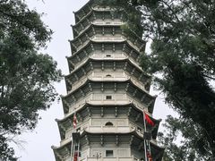 -深圳国际园林花卉博览园