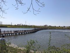 -天津东丽湖风景区