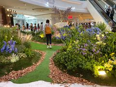 -金逸影城(大悦城IMAX激光店)