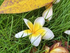 -厦门国家会计学院