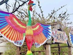 -田园东方蜜桃村的田野营地