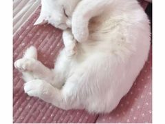 -宝龙广场(福州台江店)