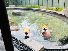 -溧阳天目湖天沐温泉