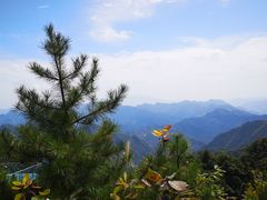 -塔云山