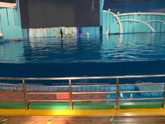 -海合安青岛极地海洋公园