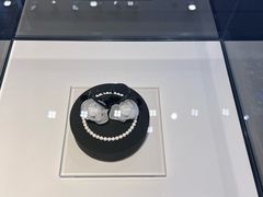 -BLACKSWAN黑天鹅(环球店)