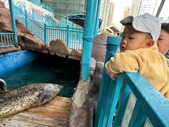 -大连圣亚海洋世界