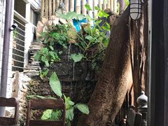 景观位-自然餐厅(Phuket)