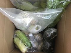 -荔枝红五号农庄