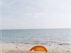 -贝壳沙滩