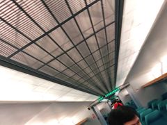 -龙阳路磁悬浮列车总站-停车场