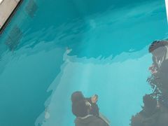 -金泽21世纪美术馆