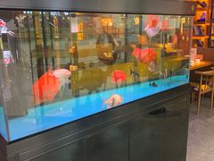 -钳小厨疯味1987肉蟹煲(美一城广场店)