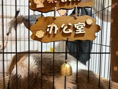 -东土食研所(渔港路店)