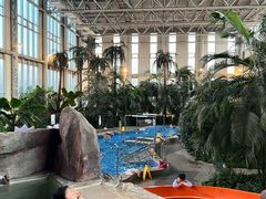-中家鑫园温泉酒店鑫悦汤泉