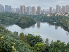 -重庆彩云湖湿地公园