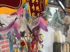-半岛宠物医院24小时·内窥镜·牙科·碎石中心(府城大道店)