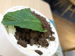 盆栽奶茶-仙踪林(北展店)