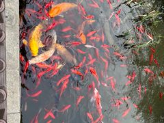 -聚缘堂·海鲜私房菜(松岭路店)