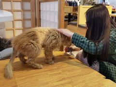 -小时光咖啡馆(开森度假森林店)