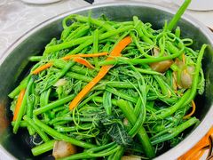清炒龙须菜-玲玲美食宁辉店(葵蓬店)