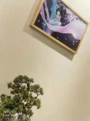 -盘子女人坊古装写真摄影(天津总店)