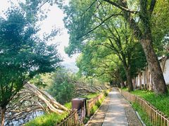 -台州府城(东湖)