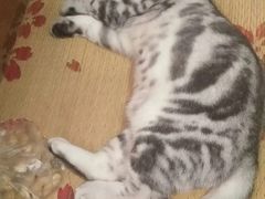 -曹丞相·地锅鸡·地锅鱼(武林店)