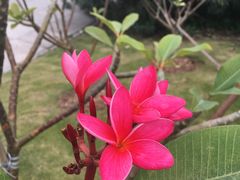 -厦门高崎国际机场-T3航站楼