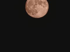 -秋栗香(地安门店)