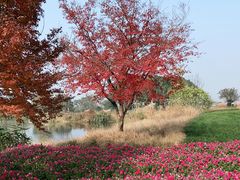 -良渚古城遗址公园