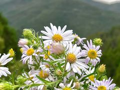 -龙洞风景区-藏龙涧