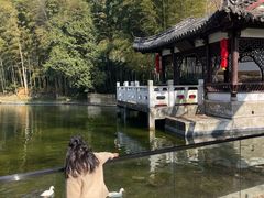 -求雨山文化公园